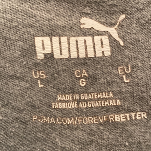 Grey Puma - Picture 4 of 4